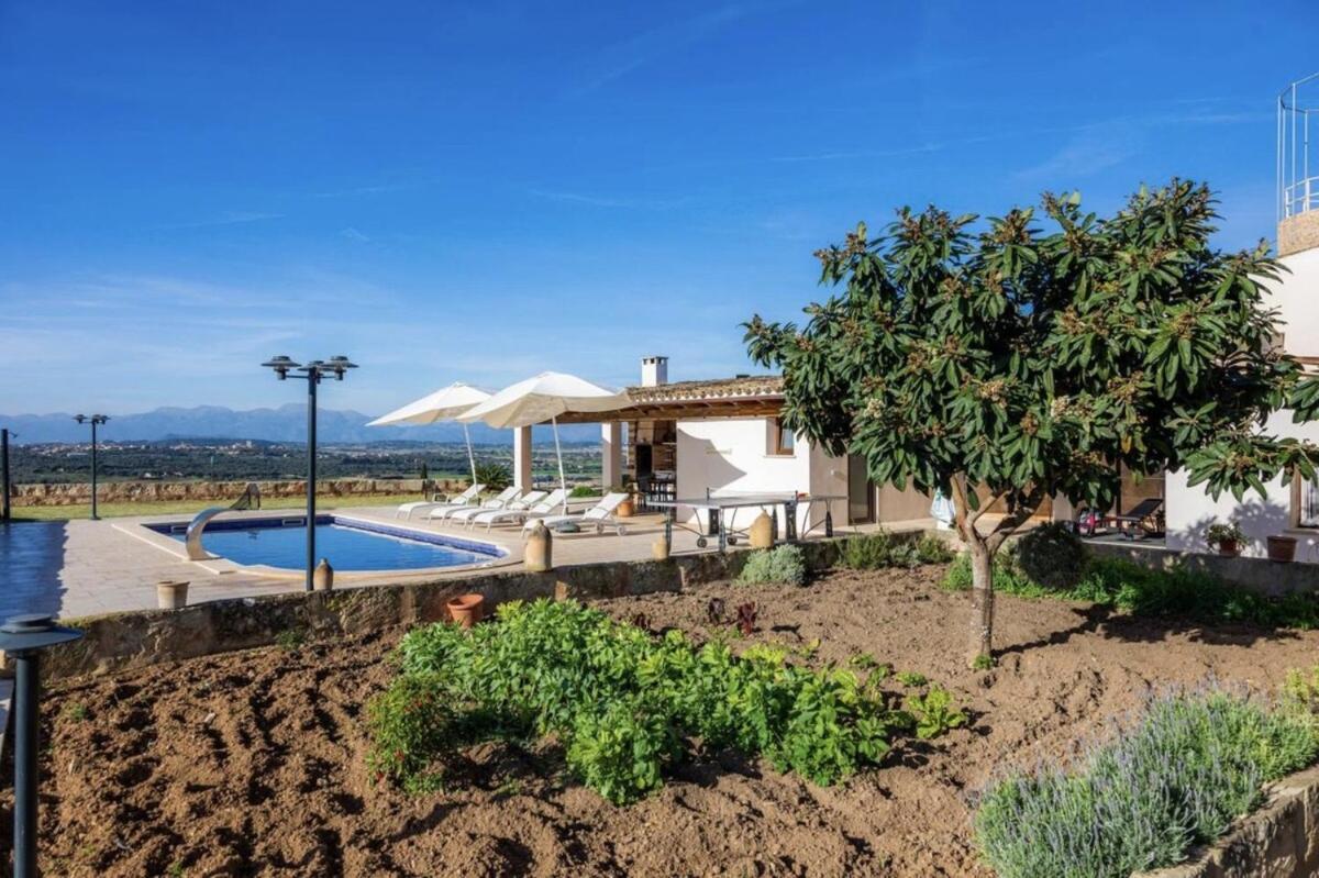 Sa Figuereta Living Place Apartment *